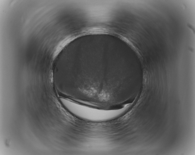 X0000101141461200807251015