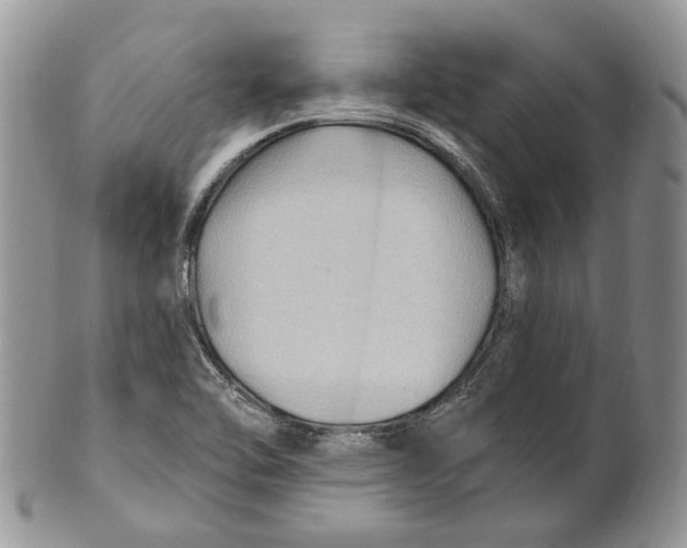 X0000101141462200807251015