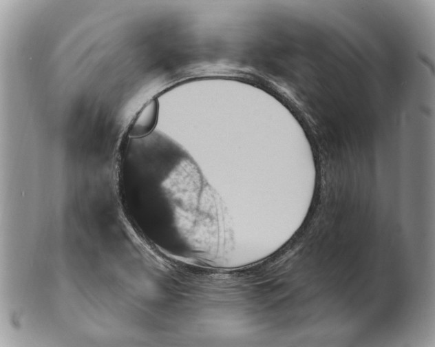 X0000101141463200807251015