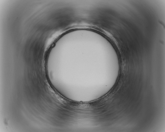 X0000101141464200807251015