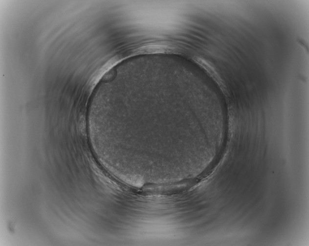 X0000101141465200807251015