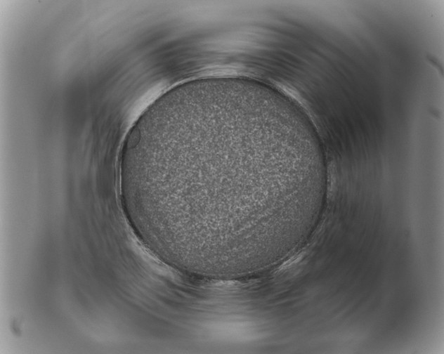 X0000101141467200807251015