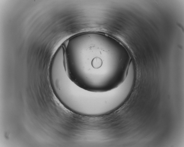 X0000101141468200807251015