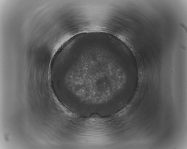 X0000101141469200807251015