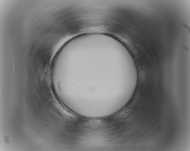 X0000101141470200807251015