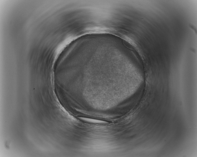 X0000101141472200807251015