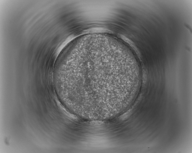 X0000101141473200807251015