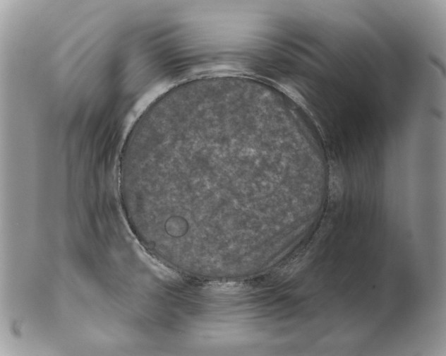 X0000101141474200807251015