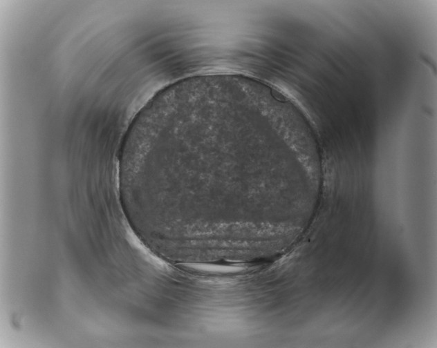 X0000101141476200807251015