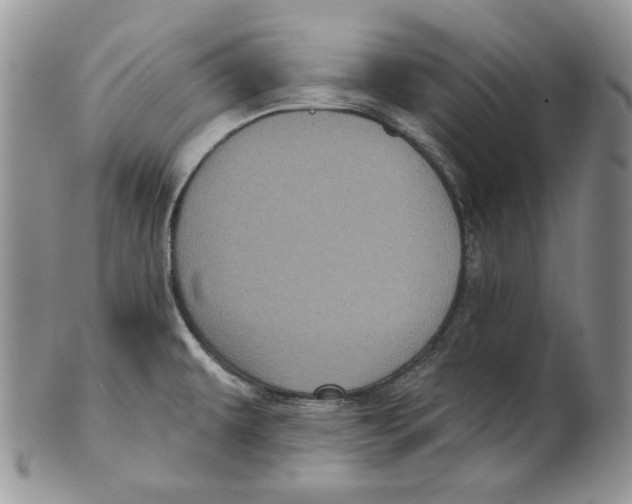 X0000101141479200807251015