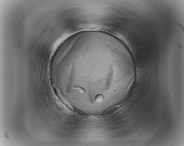 X0000101141480200807251015