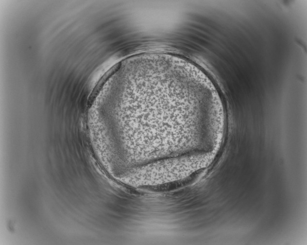 X0000101141481200807251015