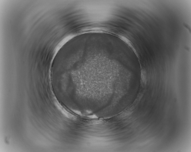 X0000101141482200807251015