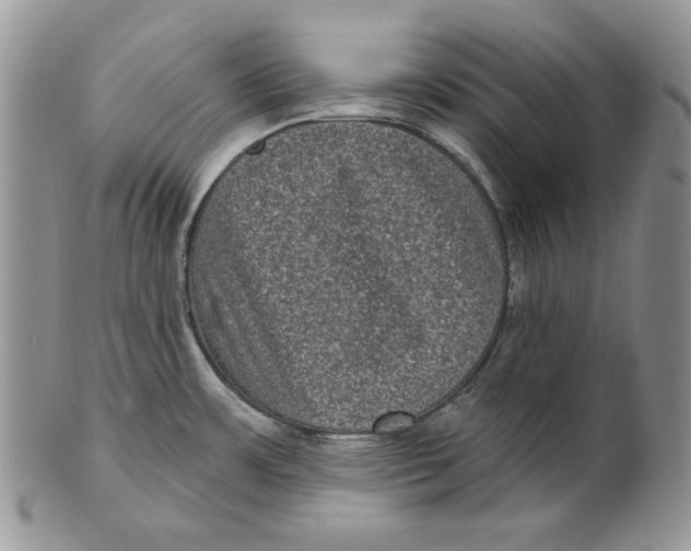 X0000101141483200807251015