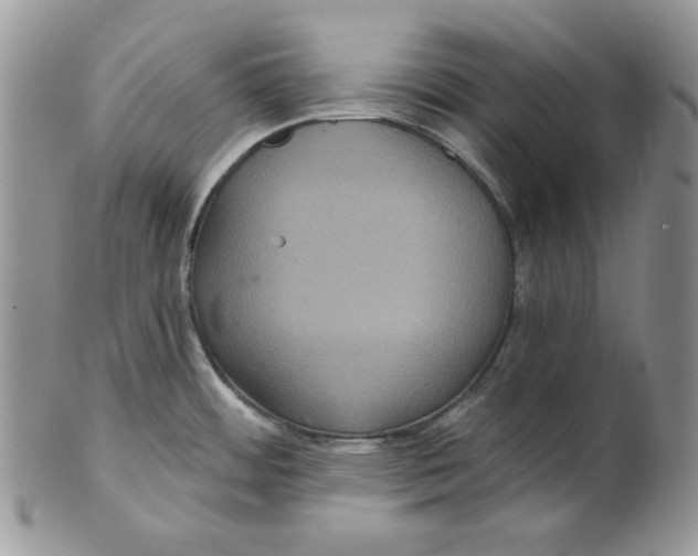 X0000101141484200807251015