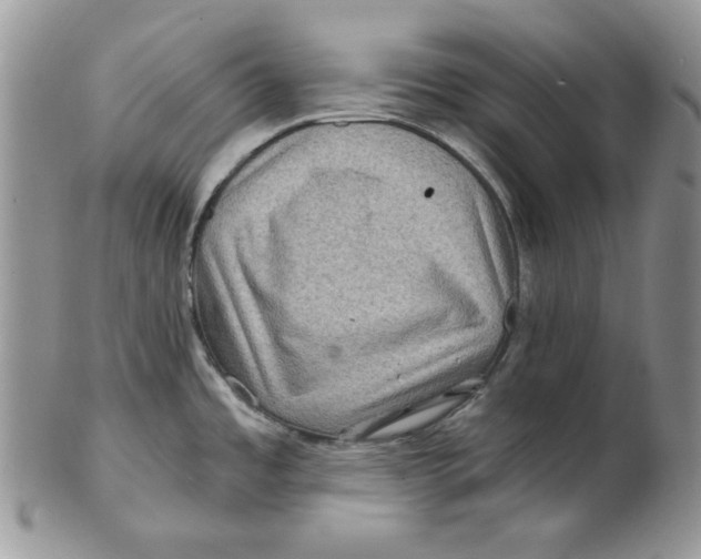 X0000101141485200807251015