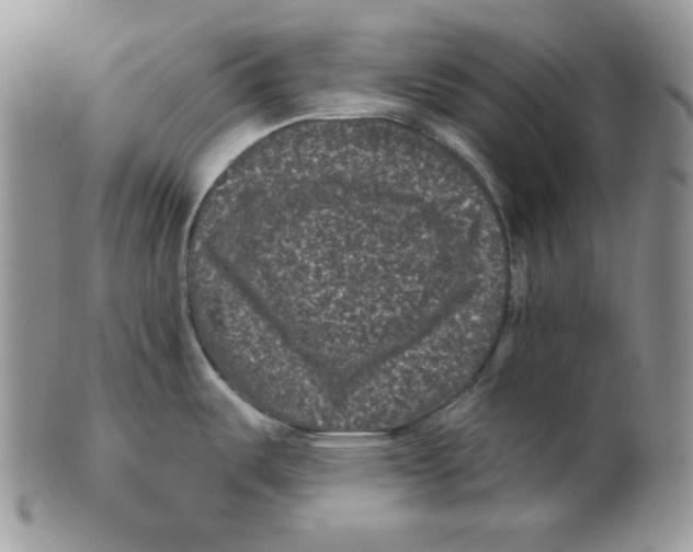 X0000101141487200807251015