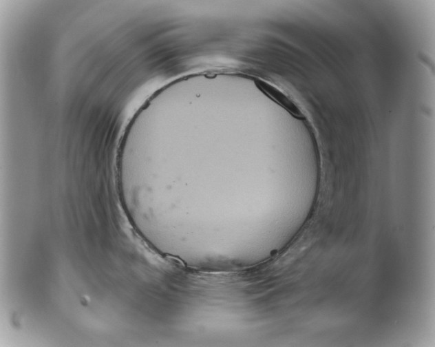 X0000101141488200807251015