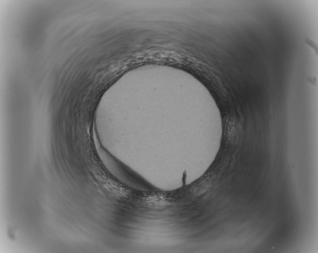 X0000101141489200807251014