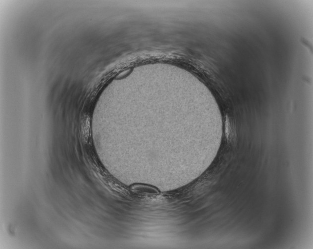 X0000101141492200807251014