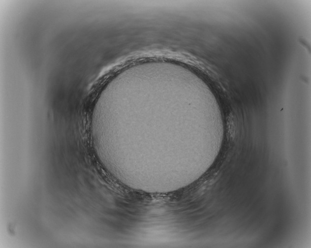 X0000101141494200807251014