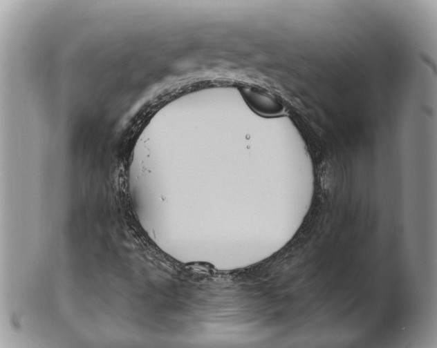 X0000101141495200807251014