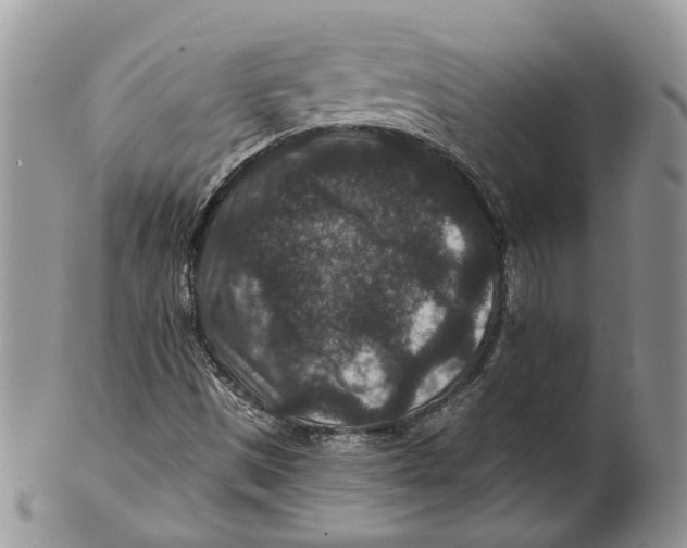 X0000101141497200807251014