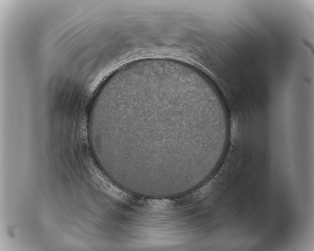 X0000101141498200807251014