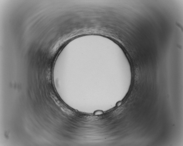 X0000101141499200807251014