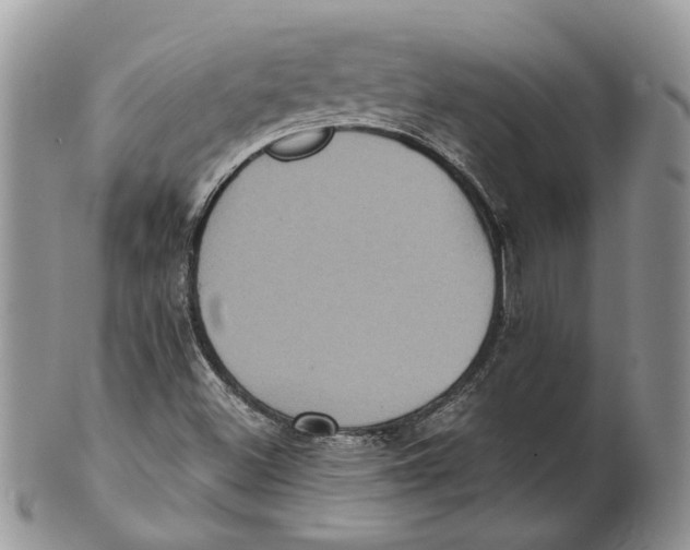 X0000101141500200807251014