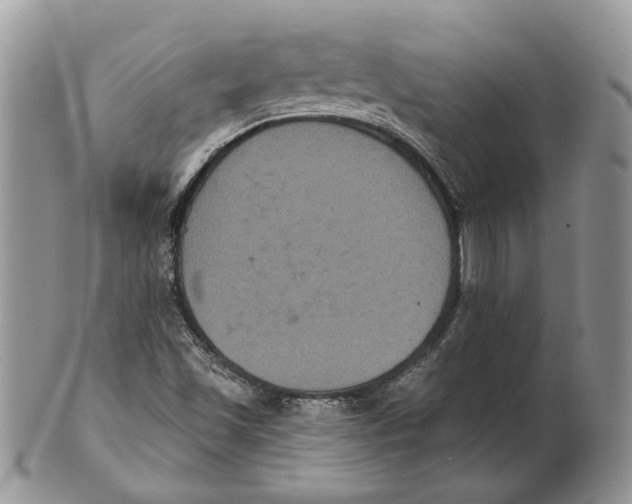 X0000101141501200807251014