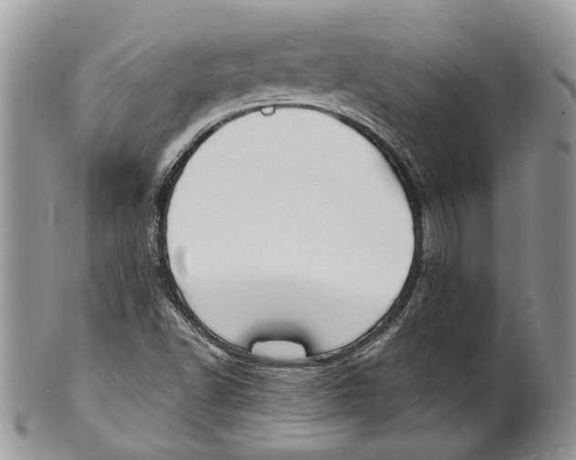 X0000101141502200807251014