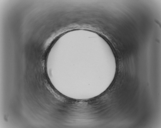 X0000101141503200807251014