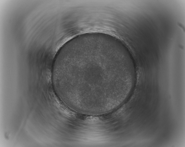 X0000101141505200807251014