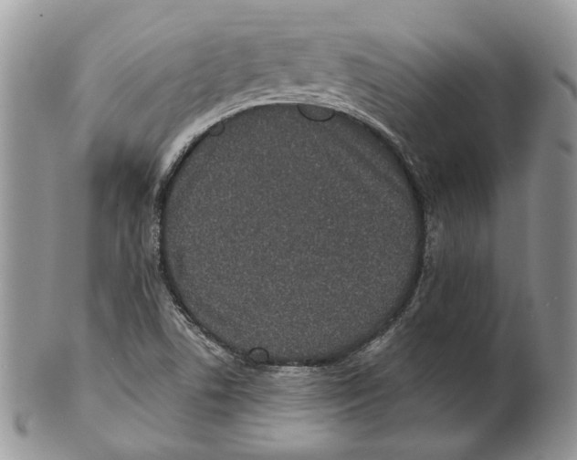 X0000101141506200807251014