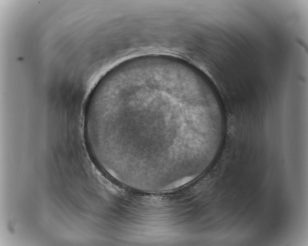 X0000101141508200807251014