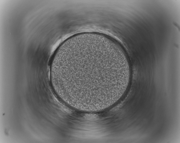 X0000101141509200807251014