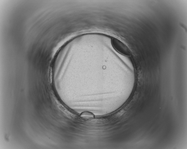 X0000101141510200807251014