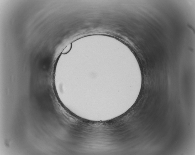 X0000101141512200807251014