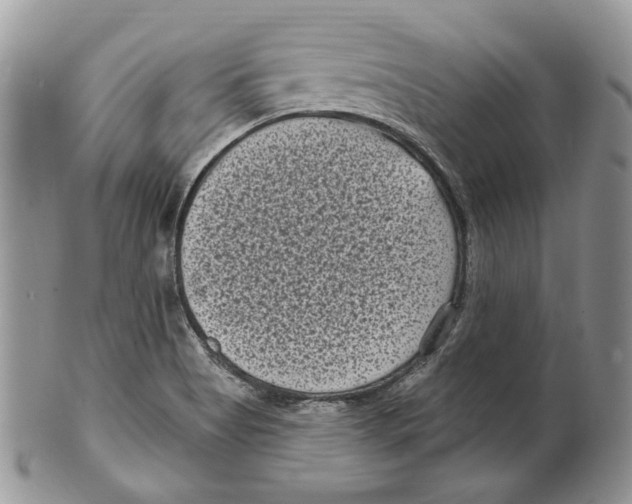 X0000101141513200807251014