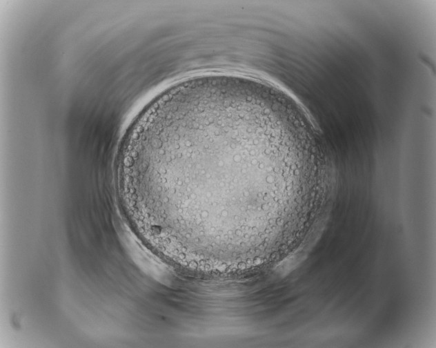 X0000101141514200807251014