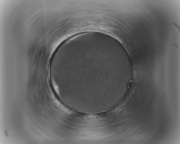 X0000101141515200807251014