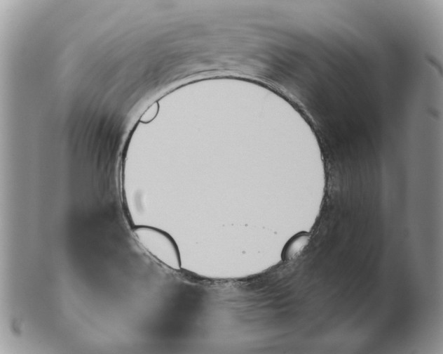 X0000101141516200807251014