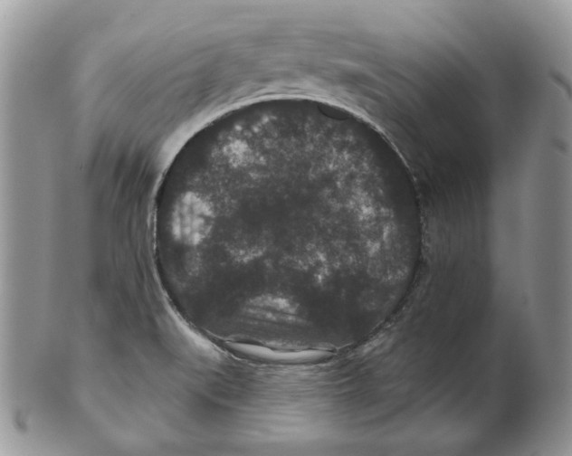 X0000101141519200807251014