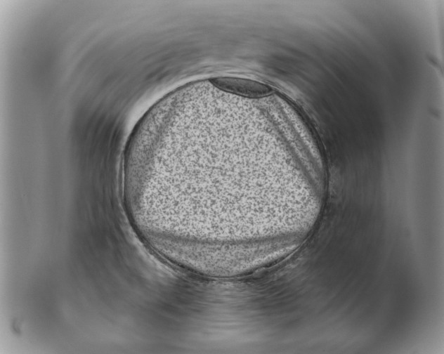 X0000101141520200807251014