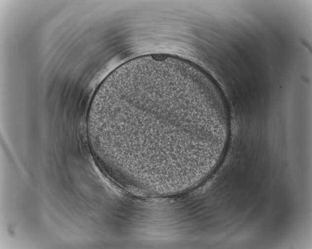 X0000101141521200807251014