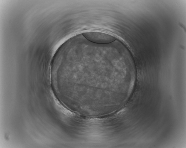 X0000101141522200807251014