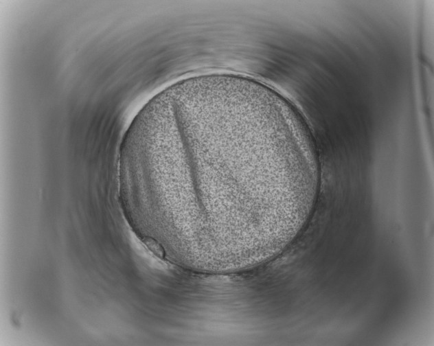 X0000101141524200807251014