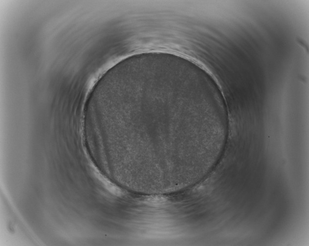 X0000101141525200807251014