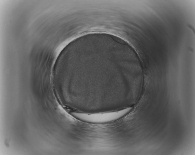 X0000101141527200807251014